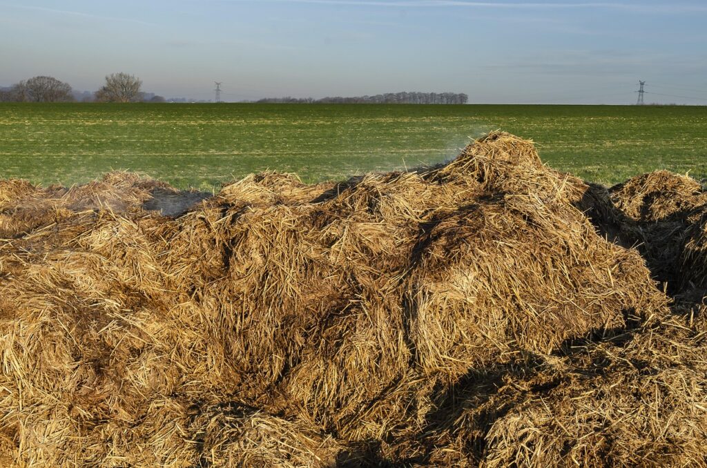 field, landscape, nature, rural, sky, country, mist, manure, manure, manure, manure, manure, manure